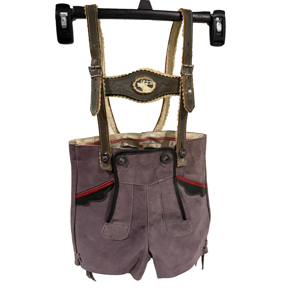 Vintage German Gray Suede Lederhosen Kids Suspenders Edelweiss Bavarian 2T 3T